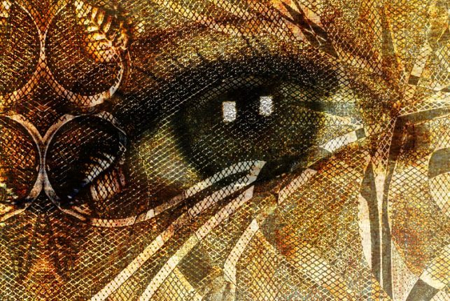 Close-up detail 1:1 - "Quia Vincet Omnem Rem Subtilem"